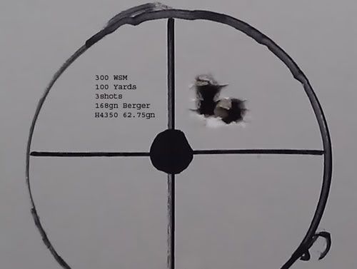 300-WSM-xp-100-first-group.jpg