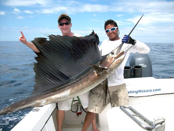 Costa Rica Sailfish