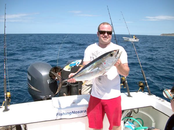Costa Rica Yellowfin Tuna