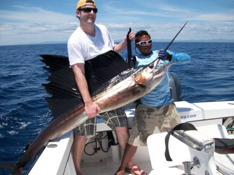 Sailfish Costa Rica