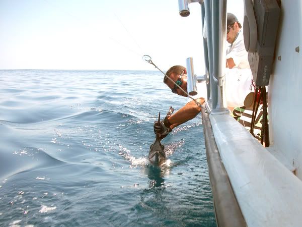 Costa Rica Sailfish