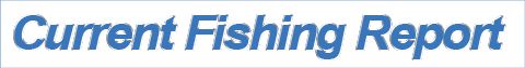 Click for the Current Monthly Fishing Report