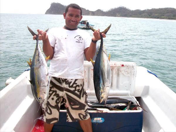 Yellowfin Tuna