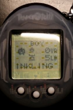 user posted image