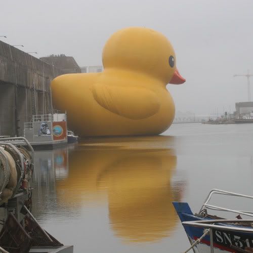 giantduck1.jpg