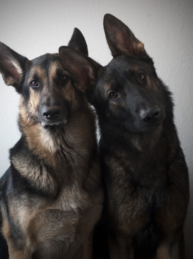 IMAGE: http://i1117.photobucket.com/albums/k585/LinseyD85/3109A_10.jpg