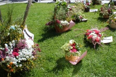 Os Peares - Ourense - Aquí viene el mayo (6)