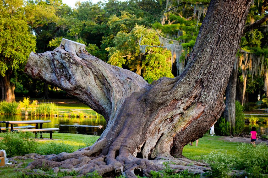 IMAGE: http://i1117.photobucket.com/albums/k589/craziexstylez/IMG_8231.jpg