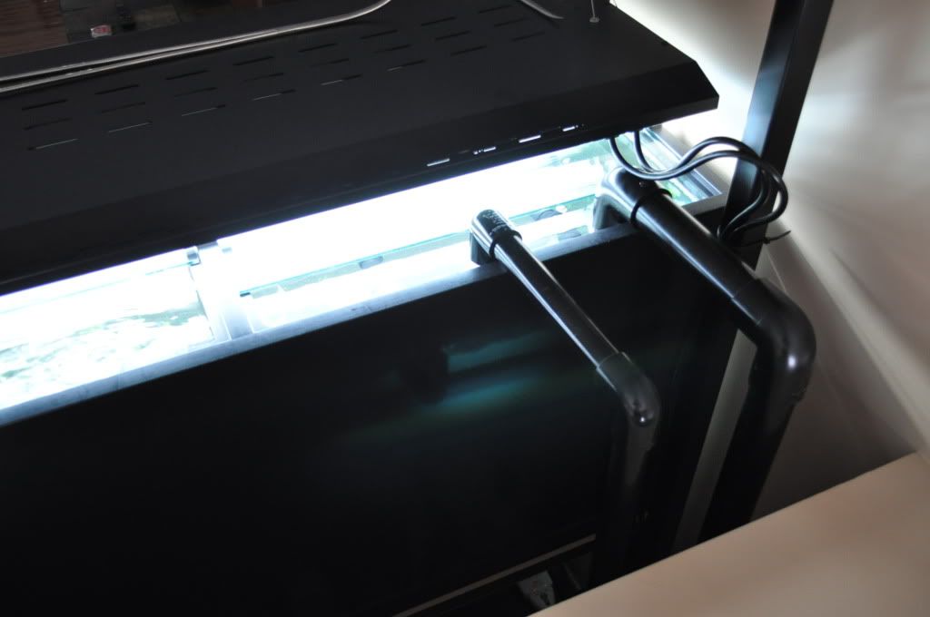 1.5" Siphon Tube Closed Loop Filtration System Barr Report Forum