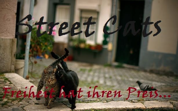 Die Katzen der Stadt