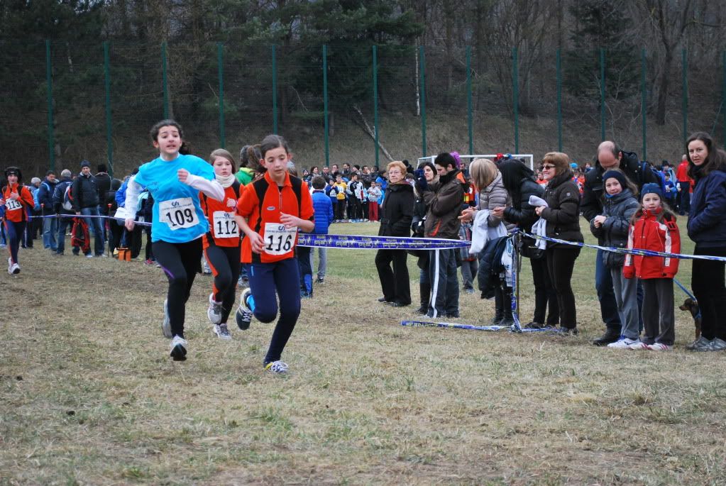  photo DSC_4554_zps820169f6.jpg