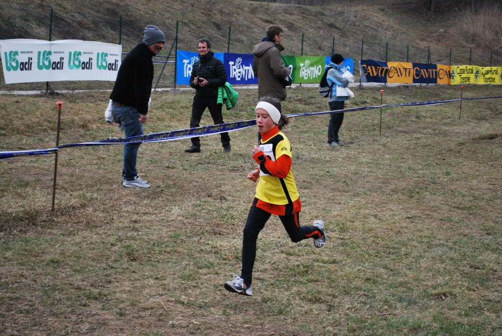  photo DSC_4584_zps3bf63f47.jpg