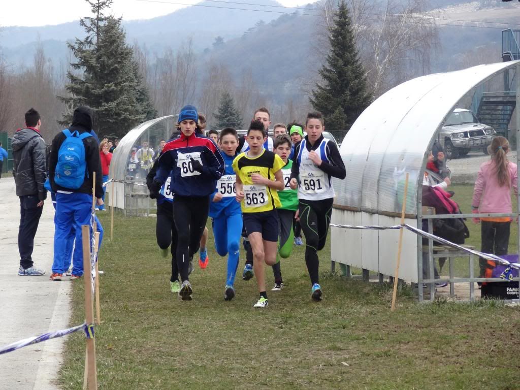  photo DSC04136_zps45af569e.jpg