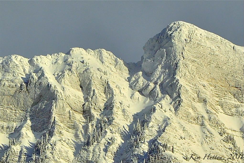 _CSC1054.jpg