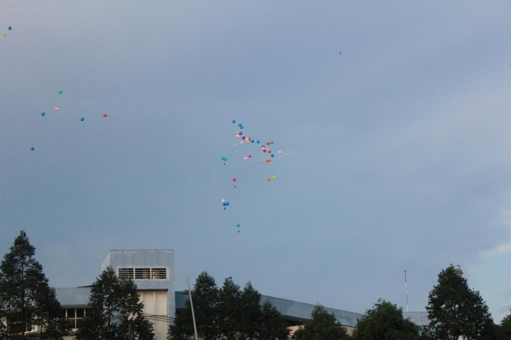 Thả cả đàn chuột lên trời  ?? - 6