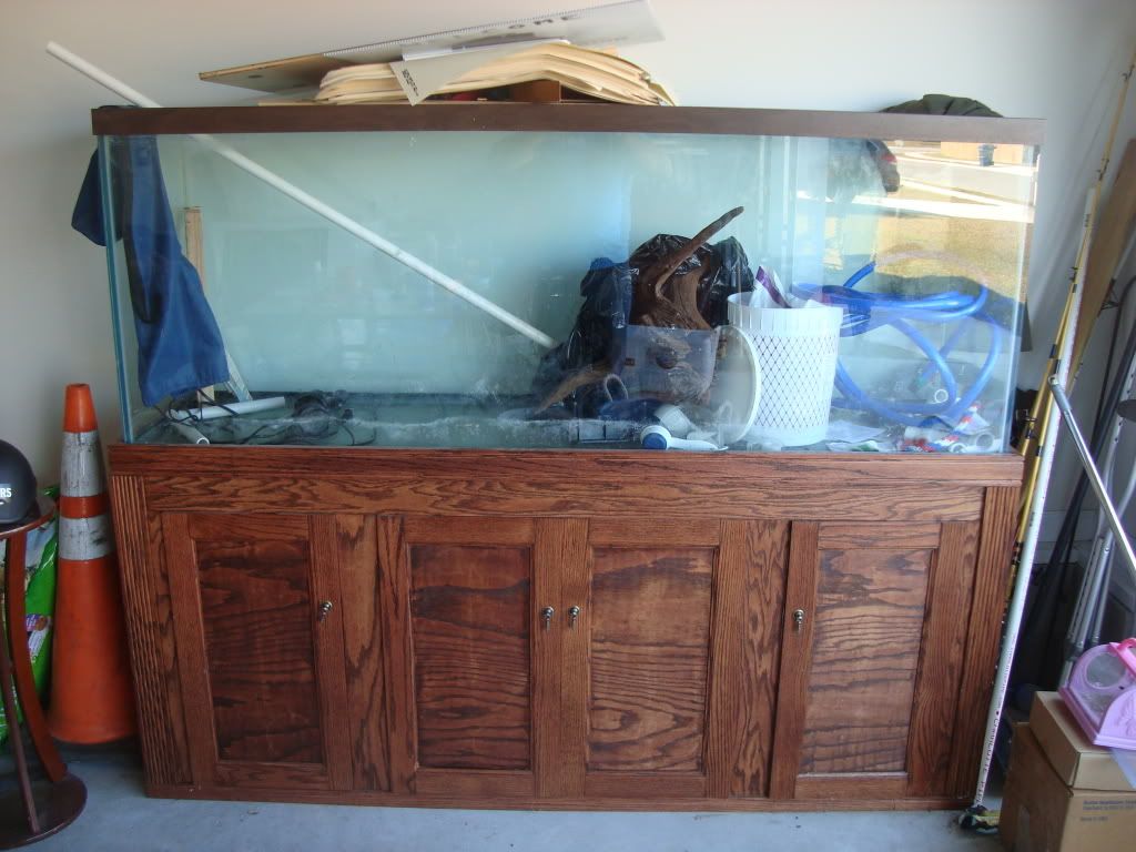125 gallon tank and custom stand Carolina Fish Talk