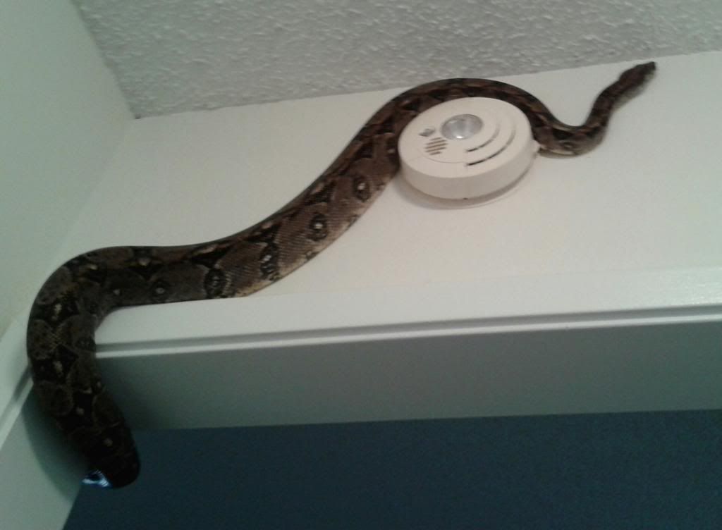 20131229_140517-1_zps2d5302b1.jpg