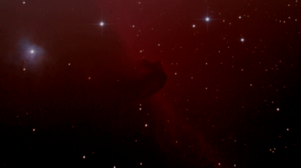 Horseheadclose-up.png