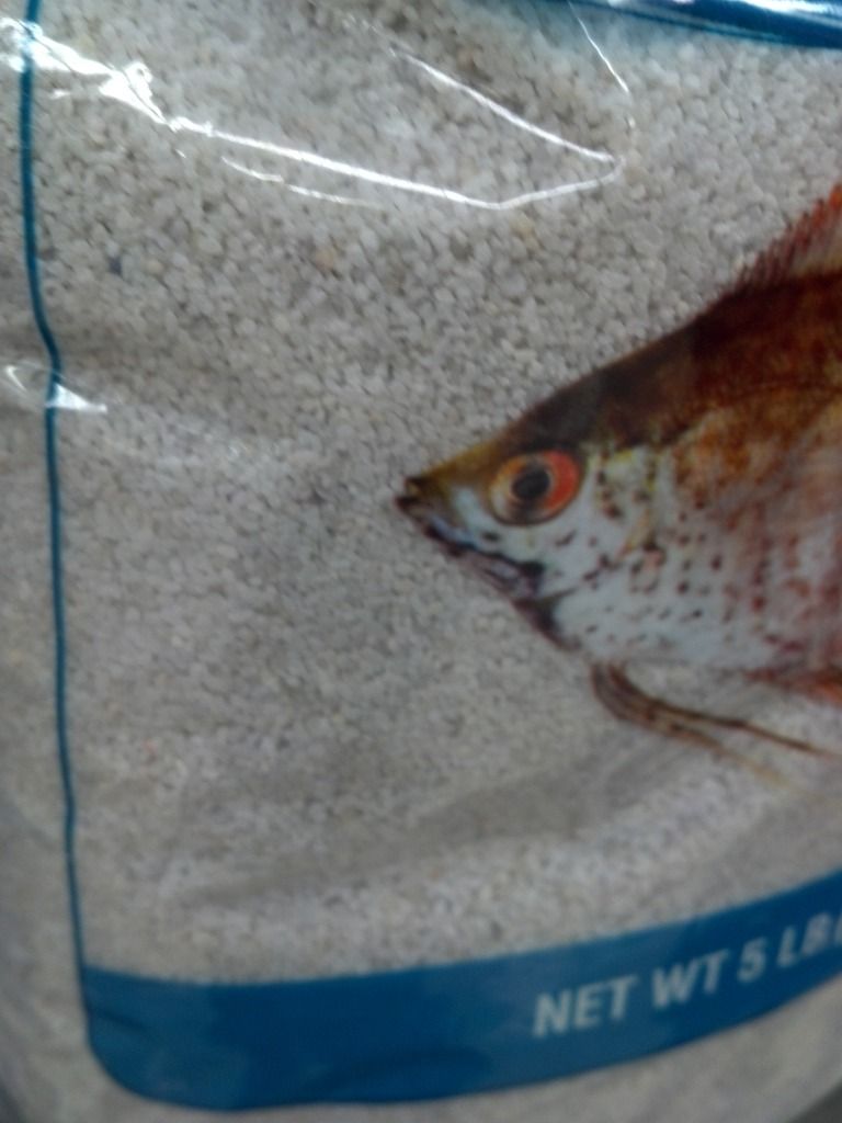 Pool filter sand or this petco rock/sand Cichlid Fish Forum