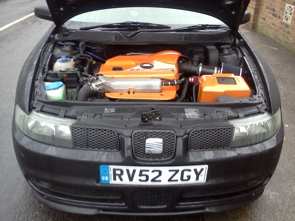 IMG20110210_004.jpg