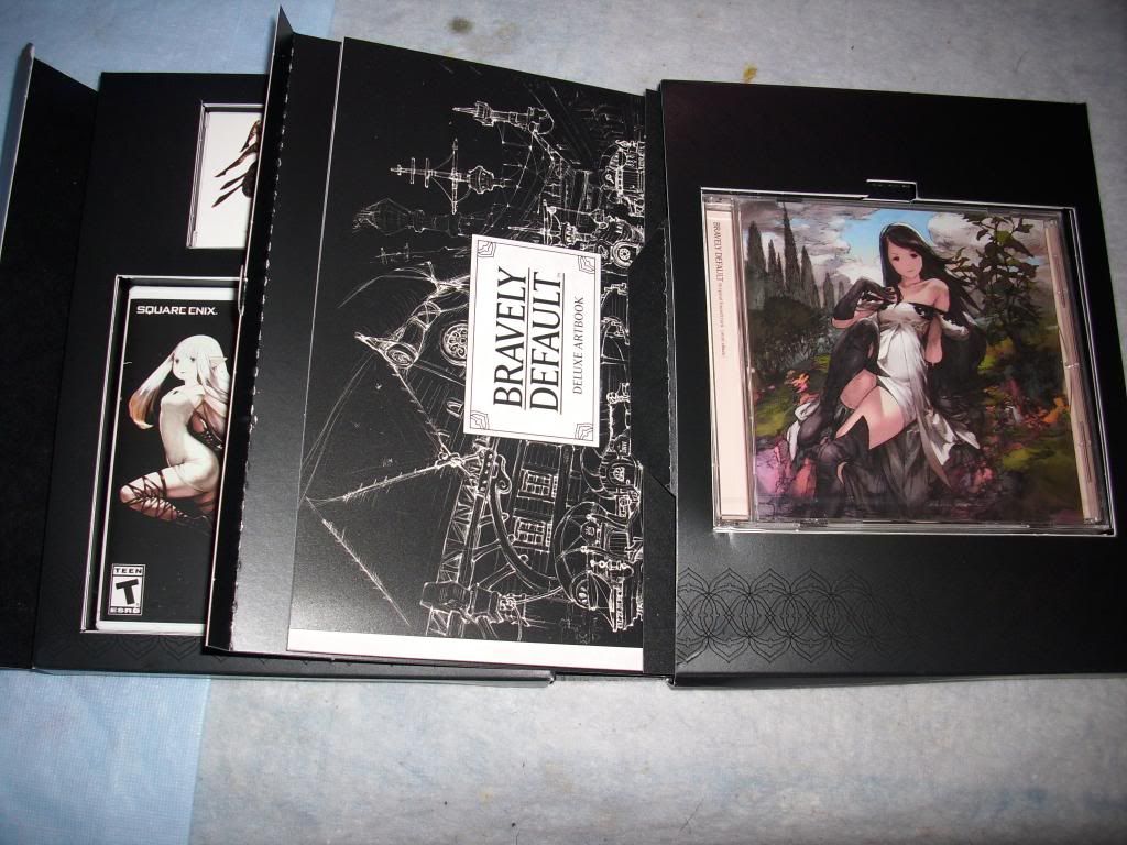 Bravely Default hidden book