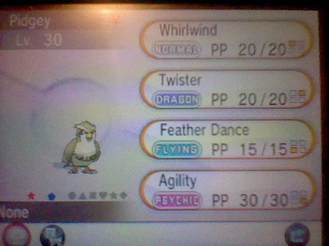 Shiny Pidgey