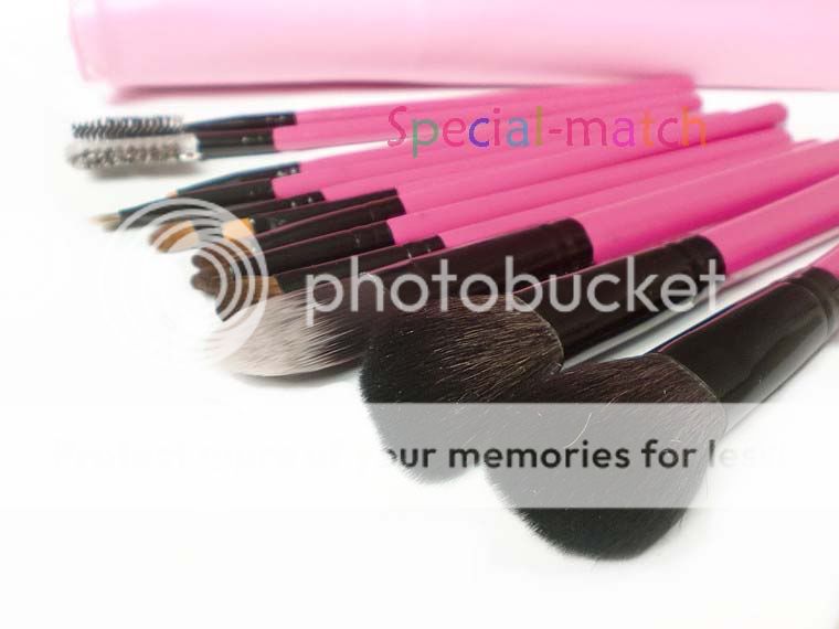 Professional 12pcs MAKEUP Face Cosmetic Brush Brushes SET POUCH MAKE 