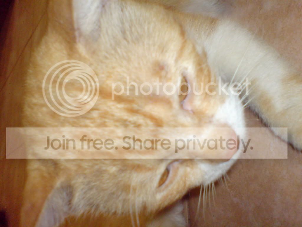 DSC01336.jpg