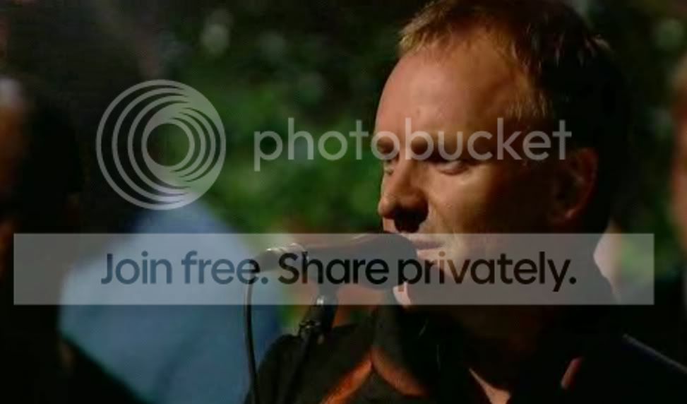 sting.jpg